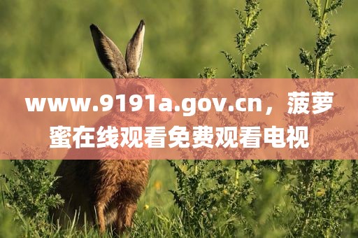 www.9191a.gov.cn，菠萝蜜在线观看免费观看电视