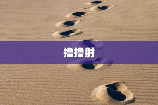 撸撸射