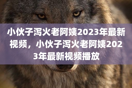 小伙子泻火老阿姨2023年最新视频，小伙子泻火老阿姨2023年最新视频播放