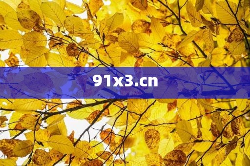91x3.cn