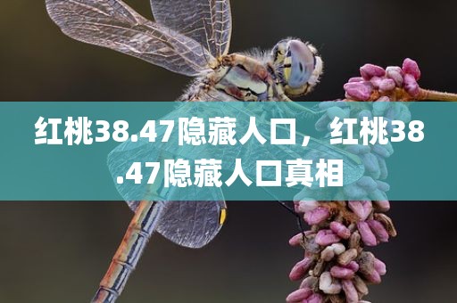 红桃38.47隐藏人口，红桃38.47隐藏人口真相