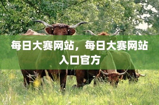 每日大赛网站，每日大赛网站入口官方