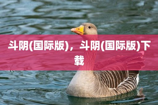 斗阴(国际版)，斗阴(国际版)下载