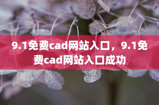 9.1免费cad网站入口，9.1免费cad网站入口成功