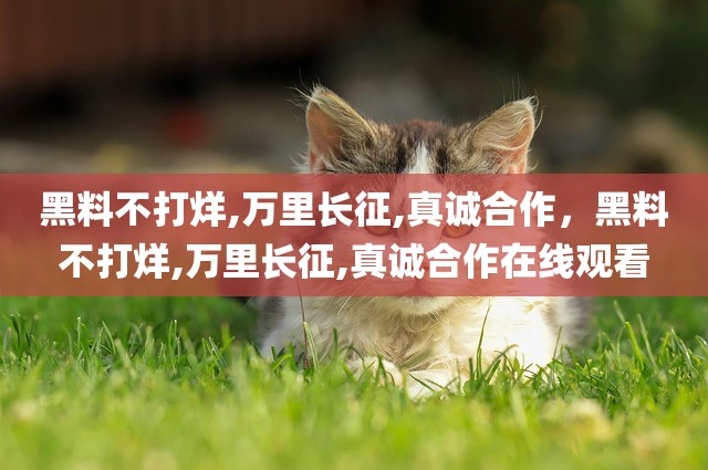 黑料不打烊,万里长征,真诚合作，黑料不打烊,万里长征,真诚合作在线观看