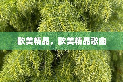 欧美精品，欧美精品歌曲