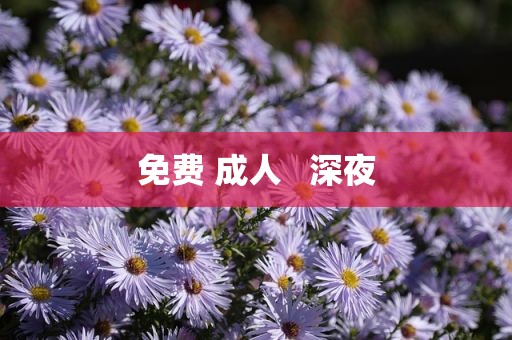 免费 成人   深夜