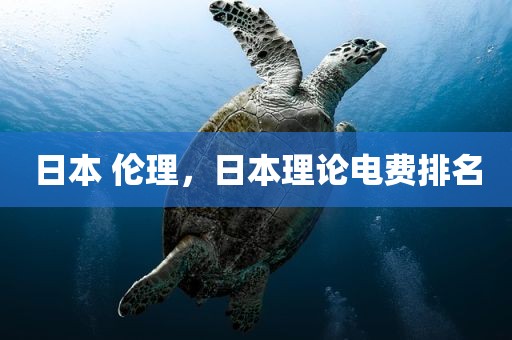 日本 伦理，日本理论电费排名