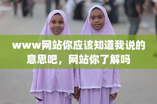 www网站你应该知道我说的意思吧，网站你了解吗