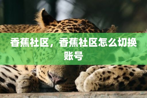 香蕉社区，香蕉社区怎么切换账号
