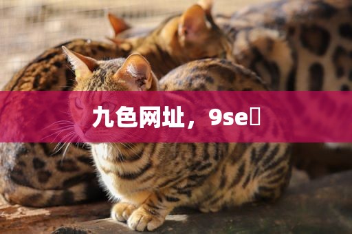 九色网址，9se 