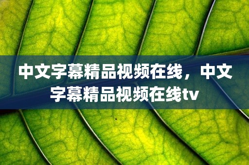 中文字幕精品视频在线，中文字幕精品视频在线tv