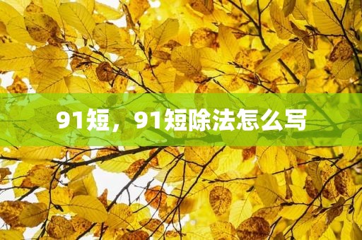 91短，91短除法怎么写