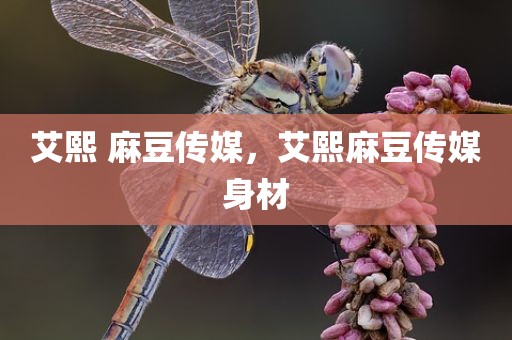 艾熙 麻豆传媒，艾熙麻豆传媒身材