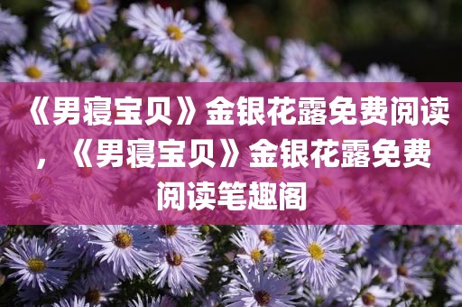 《男寝宝贝》金银花露免费阅读，《男寝宝贝》金银花露免费阅读笔趣阁