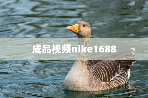 成品视频nike1688