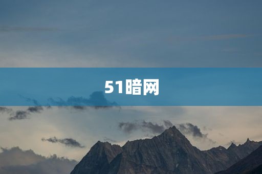 51暗网