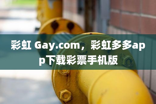 彩虹 Gay.com，彩虹多多app下载彩票手机版