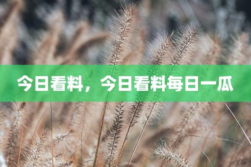 今日看料，今日看料每日一瓜