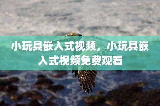 小玩具嵌入式视频，小玩具嵌入式视频免费观看