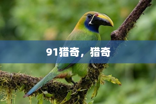 91猎奇，猎奇