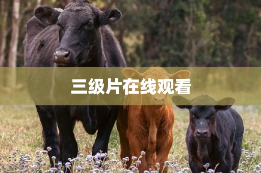 三级片在线观看
