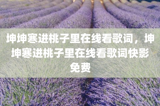 坤坤寒进桃子里在线看歌词，坤坤寒进桃子里在线看歌词快影免费