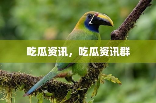吃瓜资讯，吃瓜资讯群
