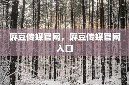 麻豆传媒官网，麻豆传媒官网入囗