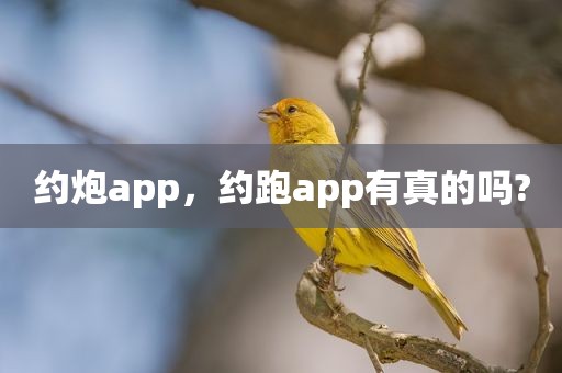 约炮app，约跑app有真的吗?