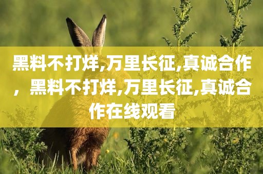黑料不打烊,万里长征,真诚合作，黑料不打烊,万里长征,真诚合作在线观看