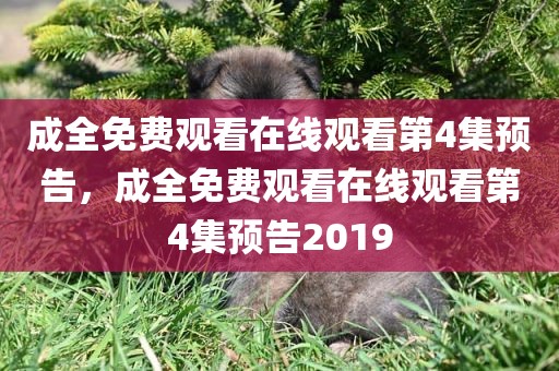 成全免费观看在线观看第4集预告，成全免费观看在线观看第4集预告2019