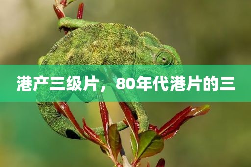 港产三级片，80年代港片的三