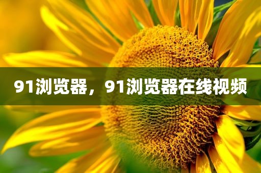 91浏览器，91浏览器在线视频