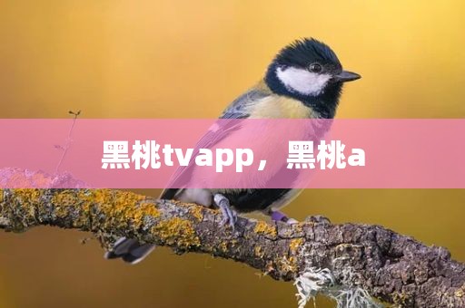 黑桃tvapp，黑桃a