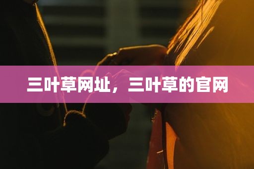 三叶草网址，三叶草的官网
