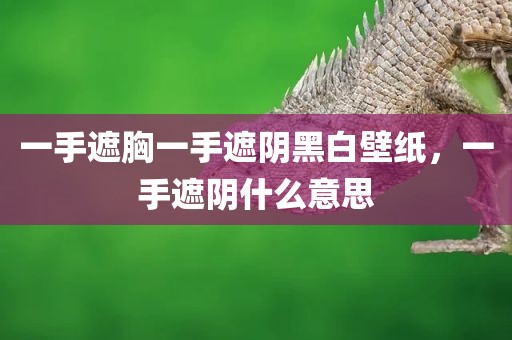 一手遮胸一手遮阴黑白壁纸，一手遮阴什么意思