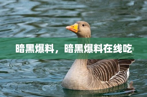 暗黑爆料，暗黑爆料在线吃