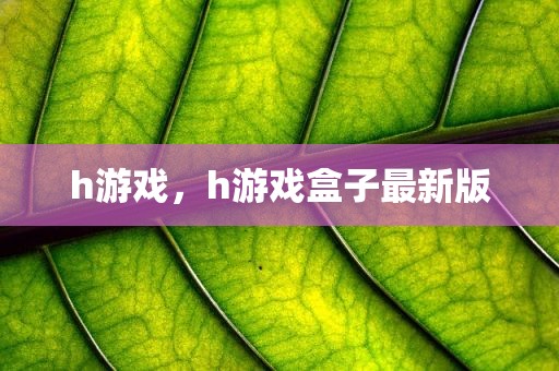 h游戏，h游戏盒子最新版