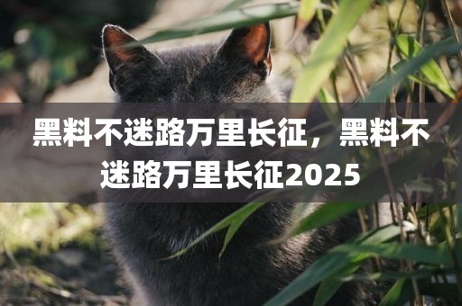 黑料不迷路万里长征，黑料不迷路万里长征2025