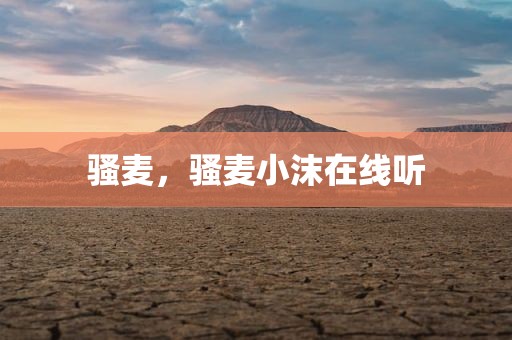 骚麦，骚麦小沫在线听
