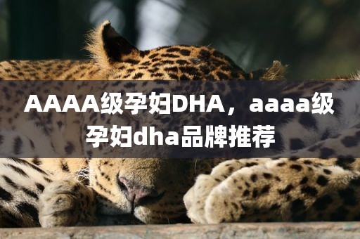 AAAA级孕妇DHA，aaaa级孕妇dha品牌推荐