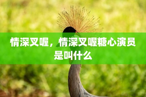 情深叉喔，情深叉喔糖心演员是叫什么