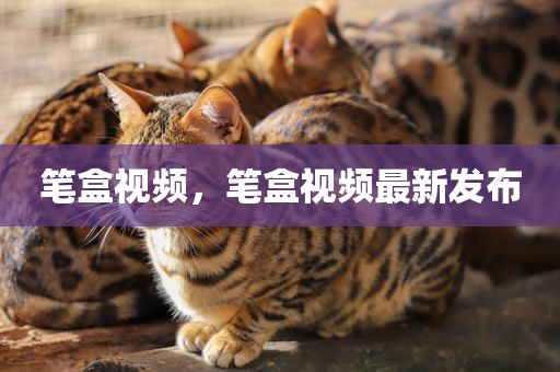 笔盒视频，笔盒视频最新发布