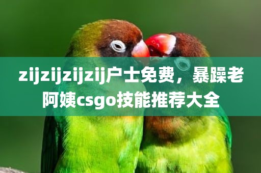 zijzijzijzij户士免费，暴躁老阿姨csgo技能推荐大全