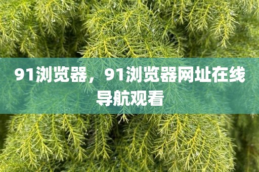 91浏览器，91浏览器网址在线导航观看