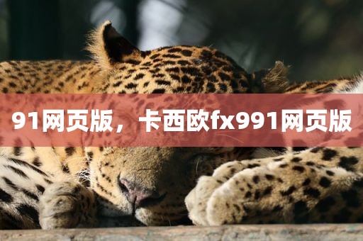 91网页版，卡西欧fx991网页版