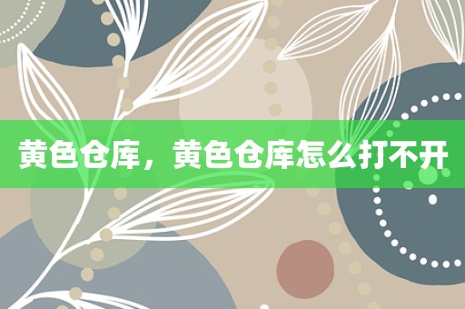 黄色仓库，黄色仓库怎么打不开