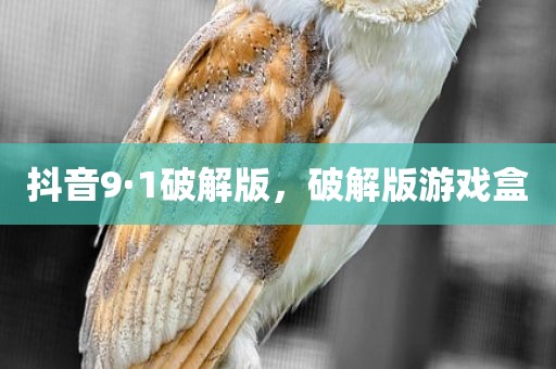 抖音9·1破解版，破解版游戏盒