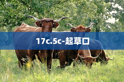 17c.5c-起草口